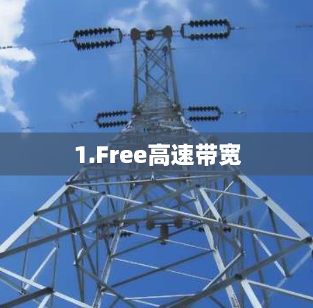 1.Free高速带宽