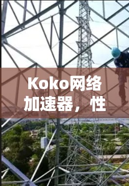 Koko网络加速器,性价比与性能的对比