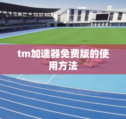 tm加速器免费版的使用方法