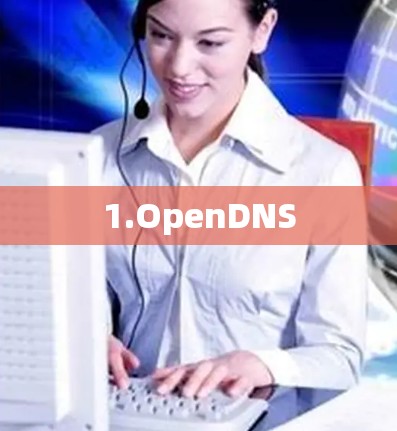 1.OpenDNS