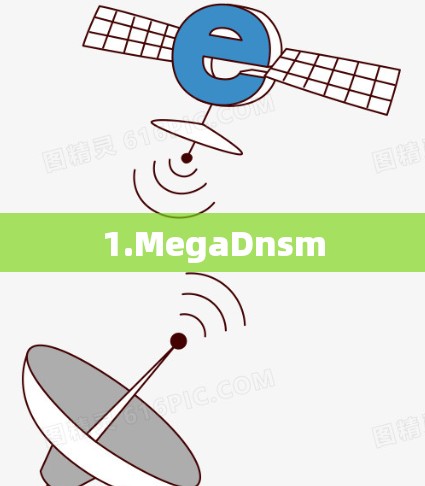 1.MegaDnsm
