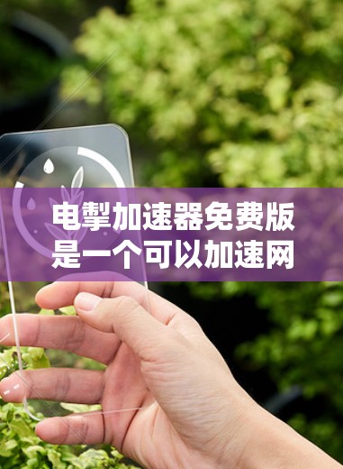 电掣加速器免费版是一个可以加速网络传输的软件工具,通常用于下载和传输文件,包括Wi-Fi和移动数据。以下是下载和使用该工具的步骤