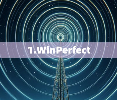 1.WinPerfect