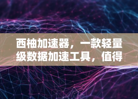 西柚加速器,一款轻量级数据加速工具,值得考虑!