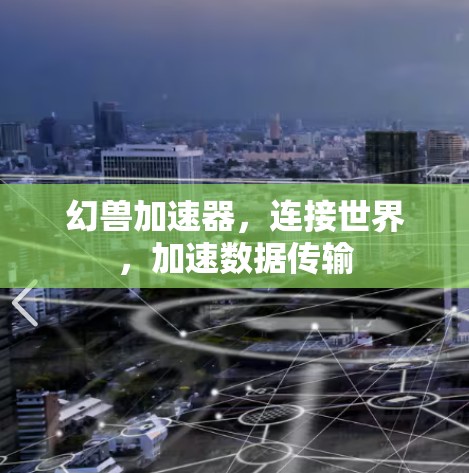 幻兽加速器,连接世界,加速数据传输