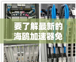 要了解最新的海鸥加速器免费版的信息,首先需要明确海鸥是指哪个品牌或型号的汽车,因为不同的车型可能有不同版本的加速器功能。以下是关于海鸥品牌和其加速器相关的信息