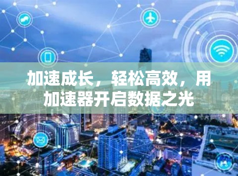 加速成长,轻松高效,用加速器开启数据之光 加速成长,轻松高效,用加速器开启数据之光