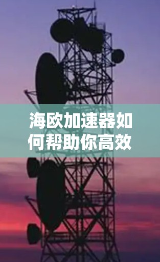 海欧加速器如何帮助你高效使用你的设备?