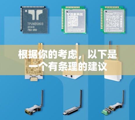 根据你的考虑,以下是一个有条理的建议
