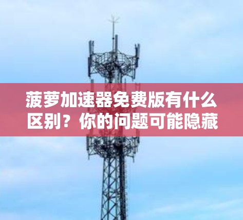 菠萝加速器免费版有什么区别?你的问题可能隐藏着更深层的需求