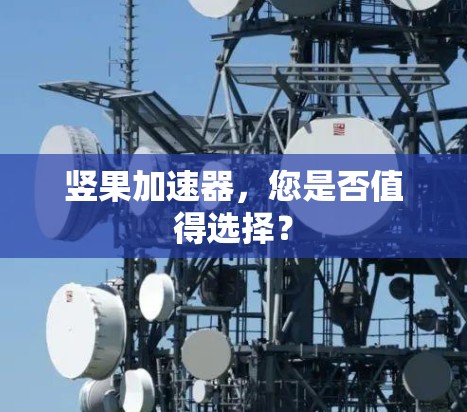 竖果加速器,您是否值得选择? 竖果加速器,您是否值得选择?
