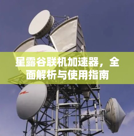 星露谷联机加速器,全面解析与使用指南