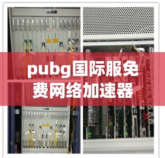 pubg国际服免费网络加速器,让游戏更加流畅!