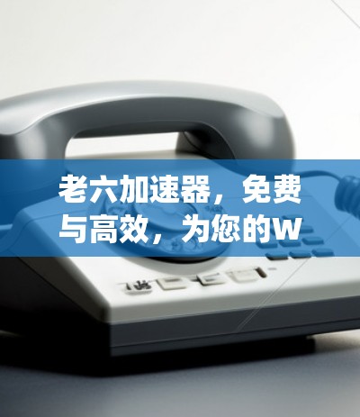 老六加速器,免费与高效,为您的Web性能找上helpe
