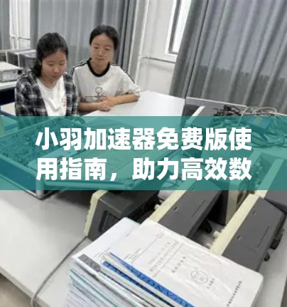 小羽加速器免费版使用指南,助力高效数据流