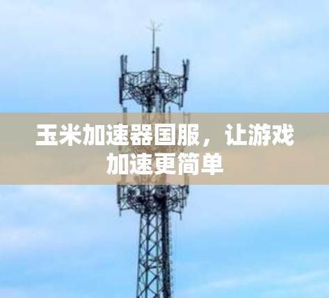 玉米加速器国服,让游戏加速更简单