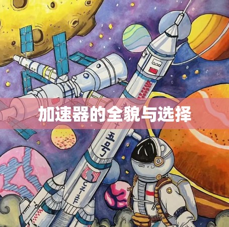 加速器的全貌与选择