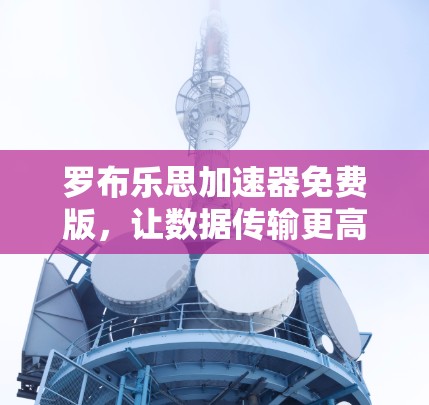 罗布乐思加速器免费版,让数据传输更高效