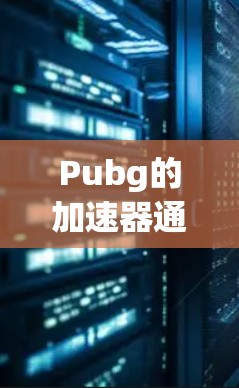 Pubg的加速器通常分为免费版和付费版。如果你指的是手机上的免费版加速器,以下是一些常见的情况和操作指南