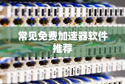 常见免费加速器软件推荐