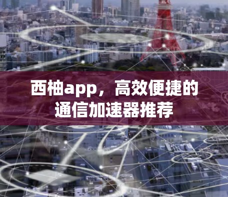 西柚app,高效便捷的通信加速器推荐