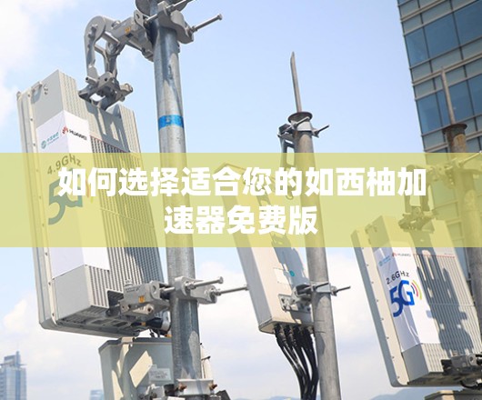 如何选择适合您的如西柚加速器免费版