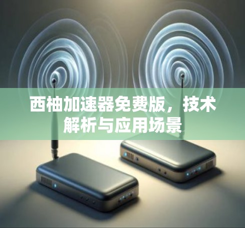 西柚加速器免费版,技术解析与应用场景