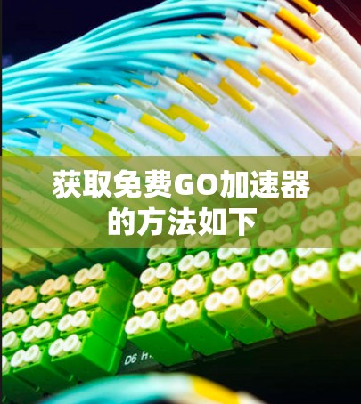 获取免费GO加速器的方法如下