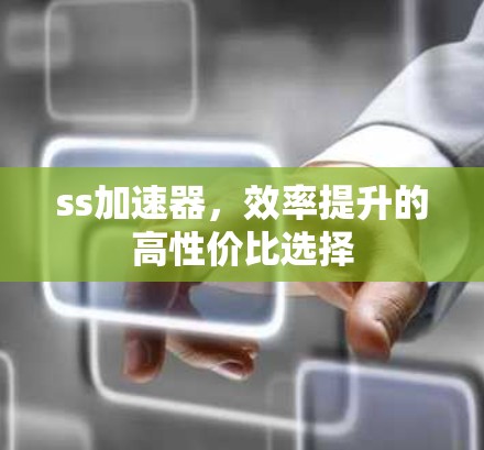ss加速器，效率提升的高性价比选择