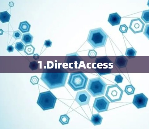 1.DirectAccess
