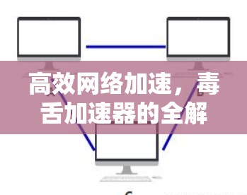 高效网络加速,毒舌加速器的全解析