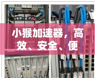 小猴加速器，高效、安全、便捷，开启你的网络世界