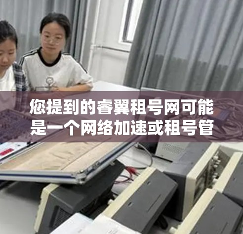 您提到的睿翼租号网可能是一个网络加速或租号管理的平台，但具体内容尚未明确。如果您需要网络加速，可以尝试以下方法