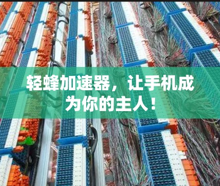 轻蜂加速器，让手机成为你的主人！