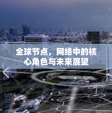 全球节点,网络中的核心角色与未来展望