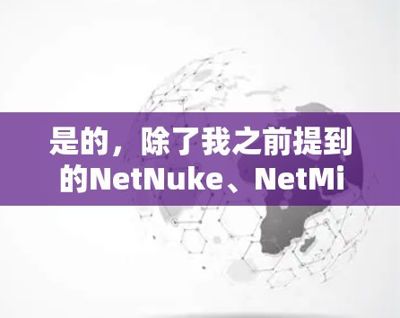 是的，除了我之前提到的NetNuke、NetMirror、NetMirror2等软件，还有一些其他可以用于翻墙和限制网络访问的软件或工具。以下是几种可以考虑的选项