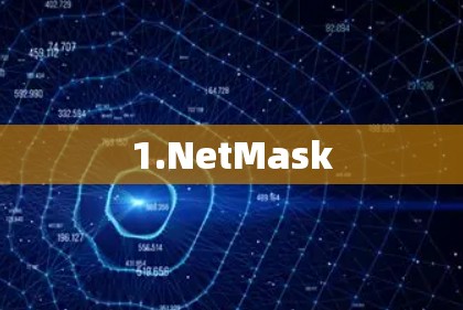1.NetMask