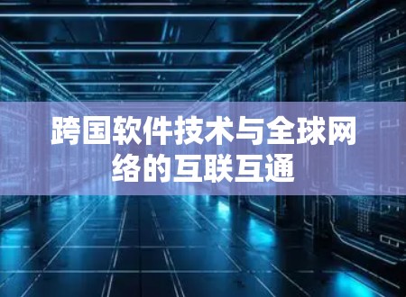 跨国软件技术与全球网络的互联互通