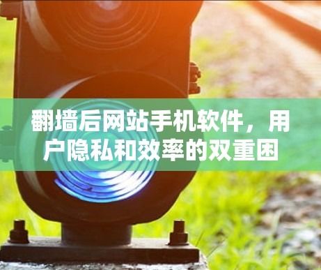 翻墙后网站手机软件,用户隐私和效率的双重困境