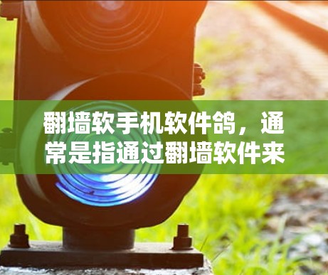 翻墙软手机软件鸽,通常是指通过翻墙软件来在另一个网络中保持连接或等待连接的操作。鸽模式通常用于在特定的网络中保持连接,或在另一个网络中等待连接。以下是一些可能的解释和操作步骤