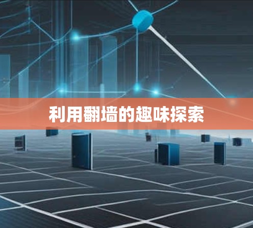 利用翻墙的趣味探索