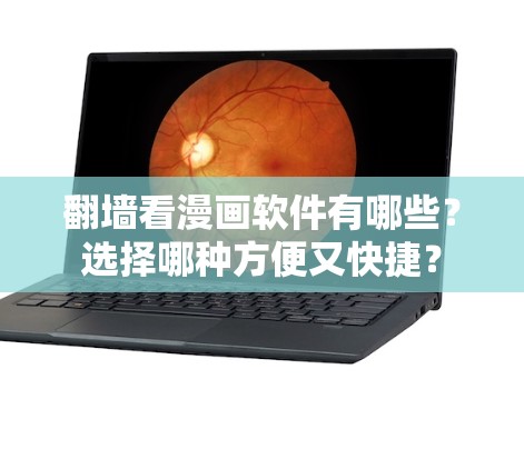 翻墙看漫画软件有哪些？选择哪种方便又快捷？