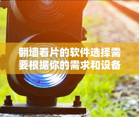 翻墙看片的软件选择需要根据你的需求和设备情况来决定。以下是一些推荐的软件，涵盖了不同需求和环境下的选择