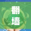 翻墙后使用软件是允许的，尤其是在互联网被截断或被阻止的情况下。翻墙通常是通过绕过某些限制，如防火墙或 cookies 等，让用户能够访问需要访问的资源。以下是一些常见的情况和解决方案