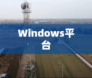 Windows平台