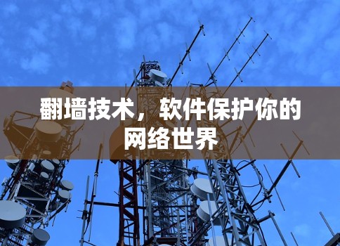 翻墙技术，软件保护你的网络世界