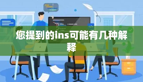 您提到的ins可能有几种解释
