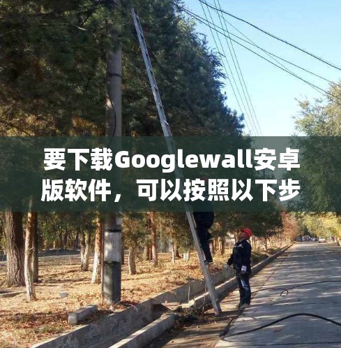 要下载Googlewall安卓版软件，可以按照以下步骤进行