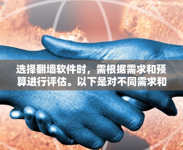 选择翻墙软件时，需根据需求和预算进行评估。以下是对不同需求和预算情况的总结