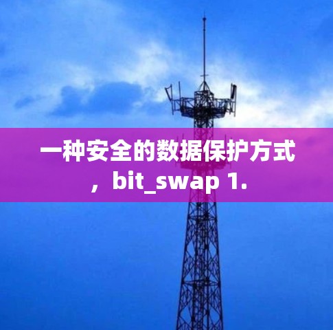 一种安全的数据保护方式，bit_swap 1.